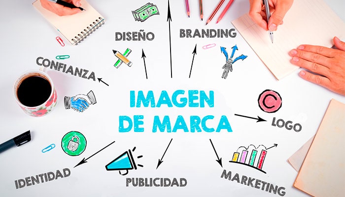 Creacion de Marca